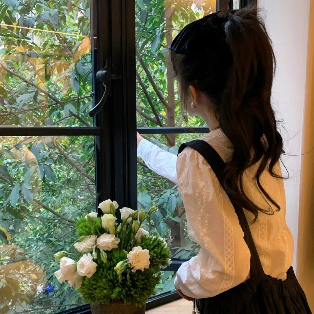 寻找雅纳切克海报